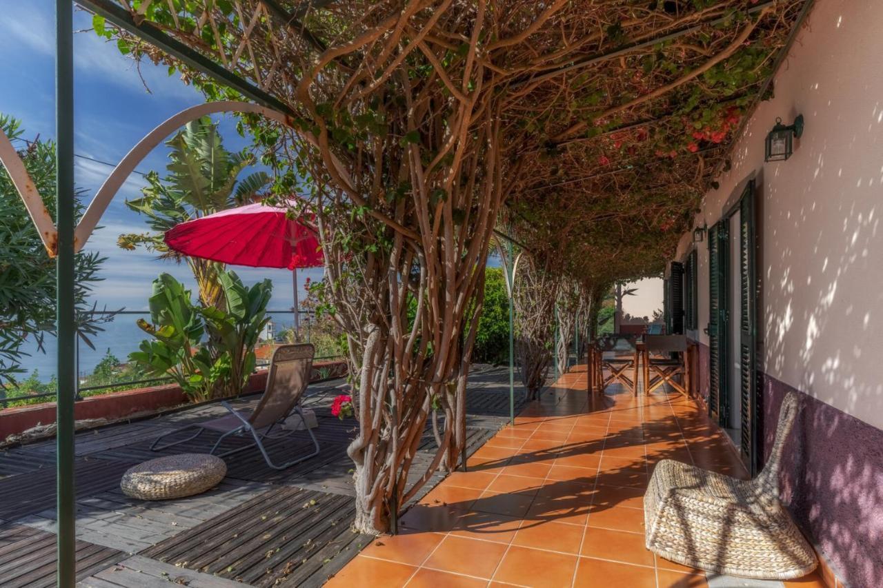 Cozy Villa Flora By Hr Madeira Estreito Da Calheta المظهر الخارجي الصورة